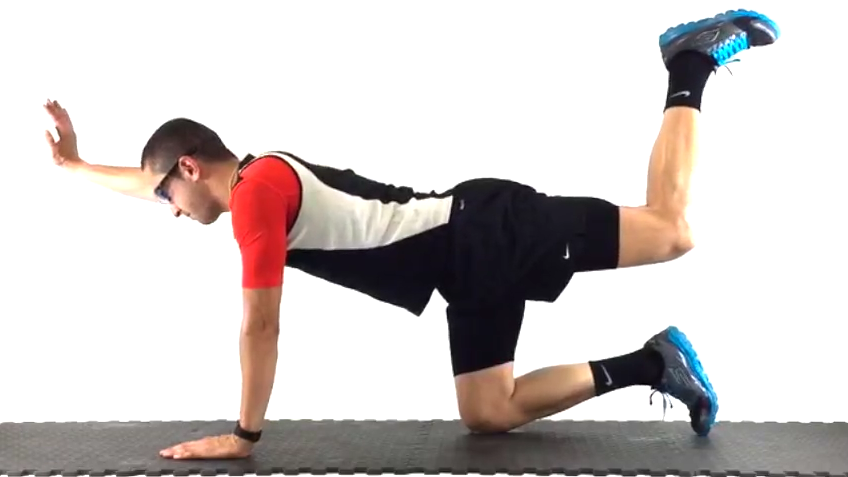 Ejercicio: Extension y elevacion contralateral con apoyo